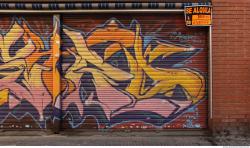 Photo Textures of Doors